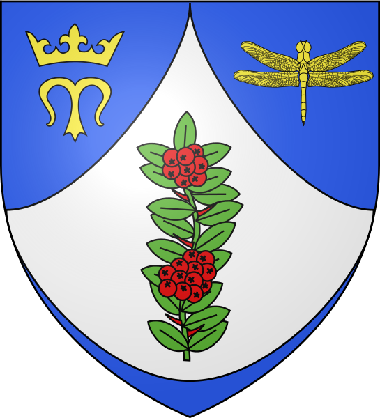 Blason Lahayville - Emblem Clipart (545x600), Png Download