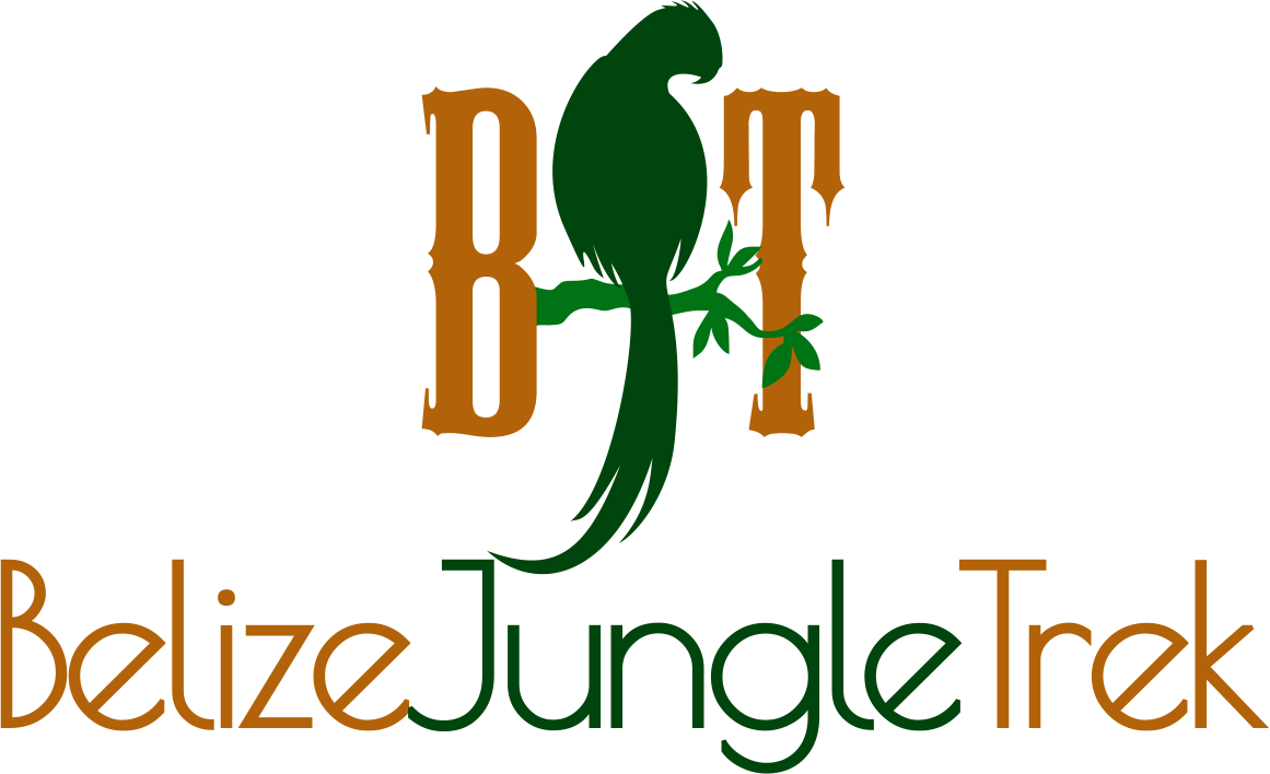 Belize Jungle Trek - Illustration Clipart (1161x708), Png Download