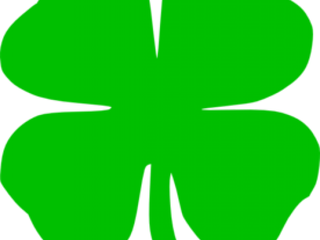 Shamrock Clipart Teacher - Png Download (640x480), Png Download