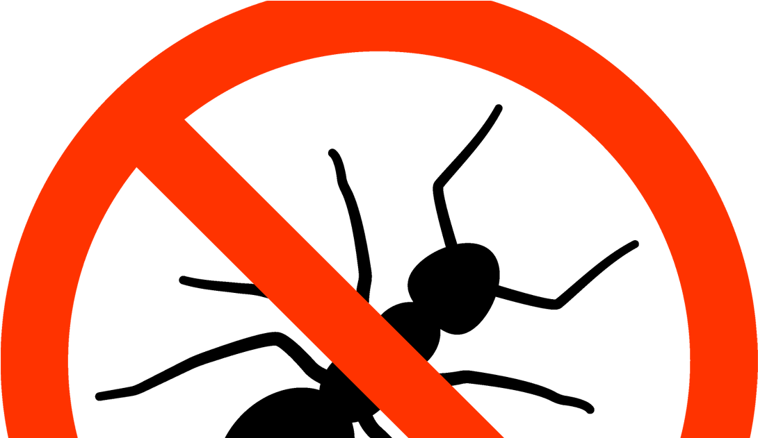 Ants - - - Ant Clipart (1200x630), Png Download