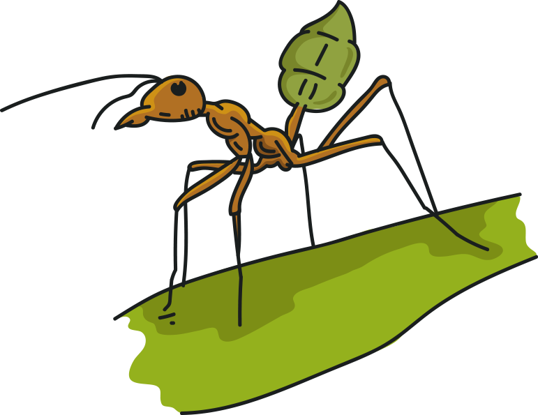 Sauna Clipart Ant - Png Download (771x595), Png Download