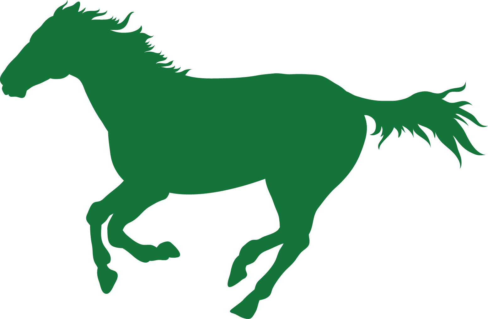 Campaign Winner Of 4 Races In San Isidro And La Plata - Jumping Horse Clipart (1555x1019), Png Download