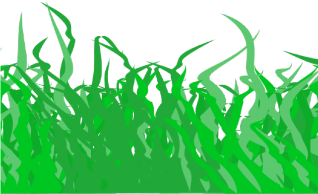 Lawn Clipart Divider - Illustration - Png Download (640x480), Png Download