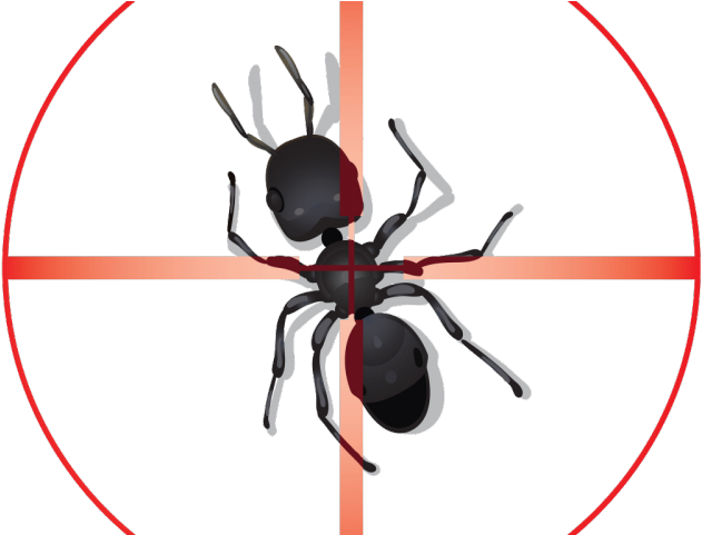 Ant Clipart Pest Control - Pest Control - Png Download (640x480), Png Download