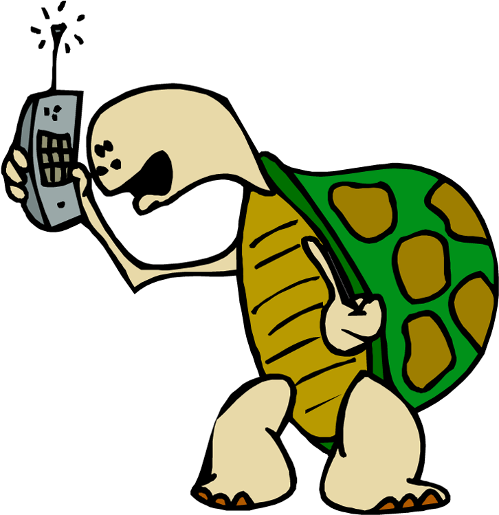 Talkative-turtle - Clipart (740x750), Png Download