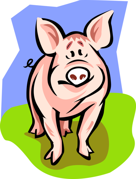 531 X 700 5 - Pig Clipart (531x700), Png Download