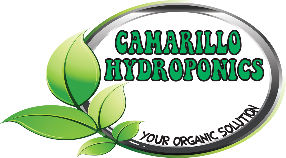 Logo And Name Clipart (1000x553), Png Download