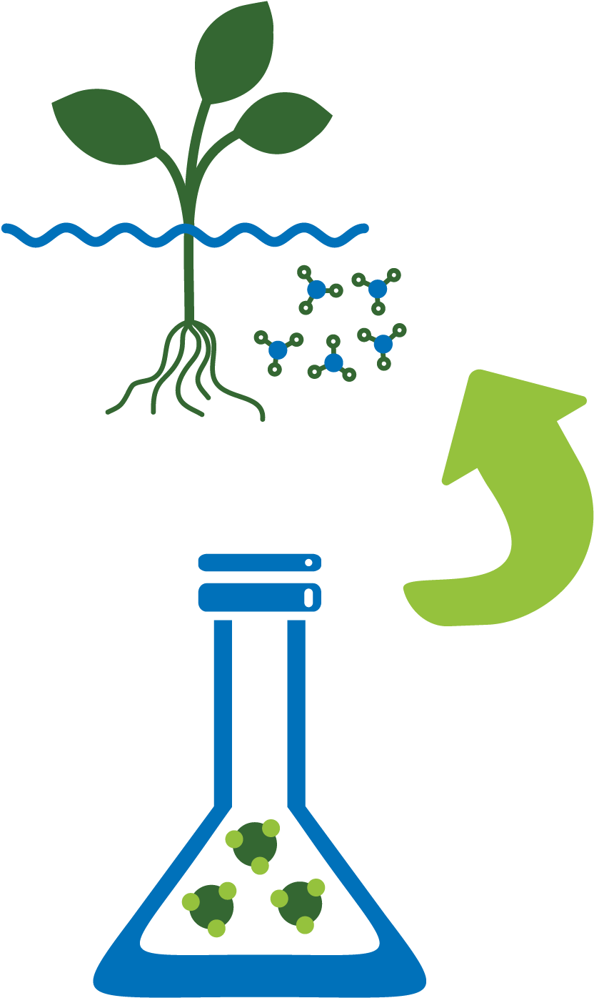 1- Hydroponic Nourishes Plants With Manufactured Nutrients - Illustration Clipart (1000x1501), Png Download