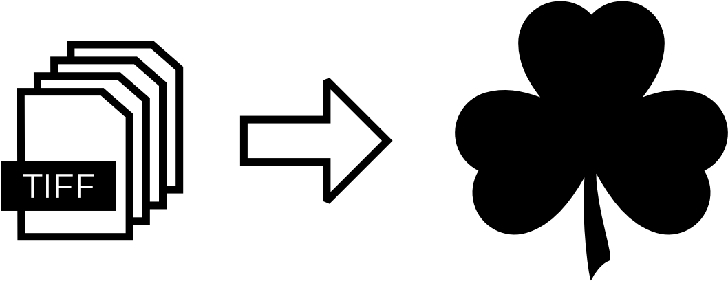 Importing Datasets Into Webknossos - Shamrock Clipart (1400x600), Png Download