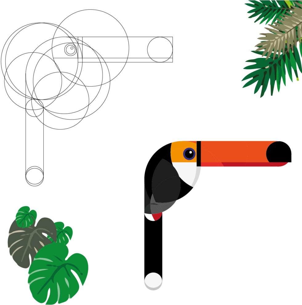 Tucan1-08 Clipart (1000x1000), Png Download