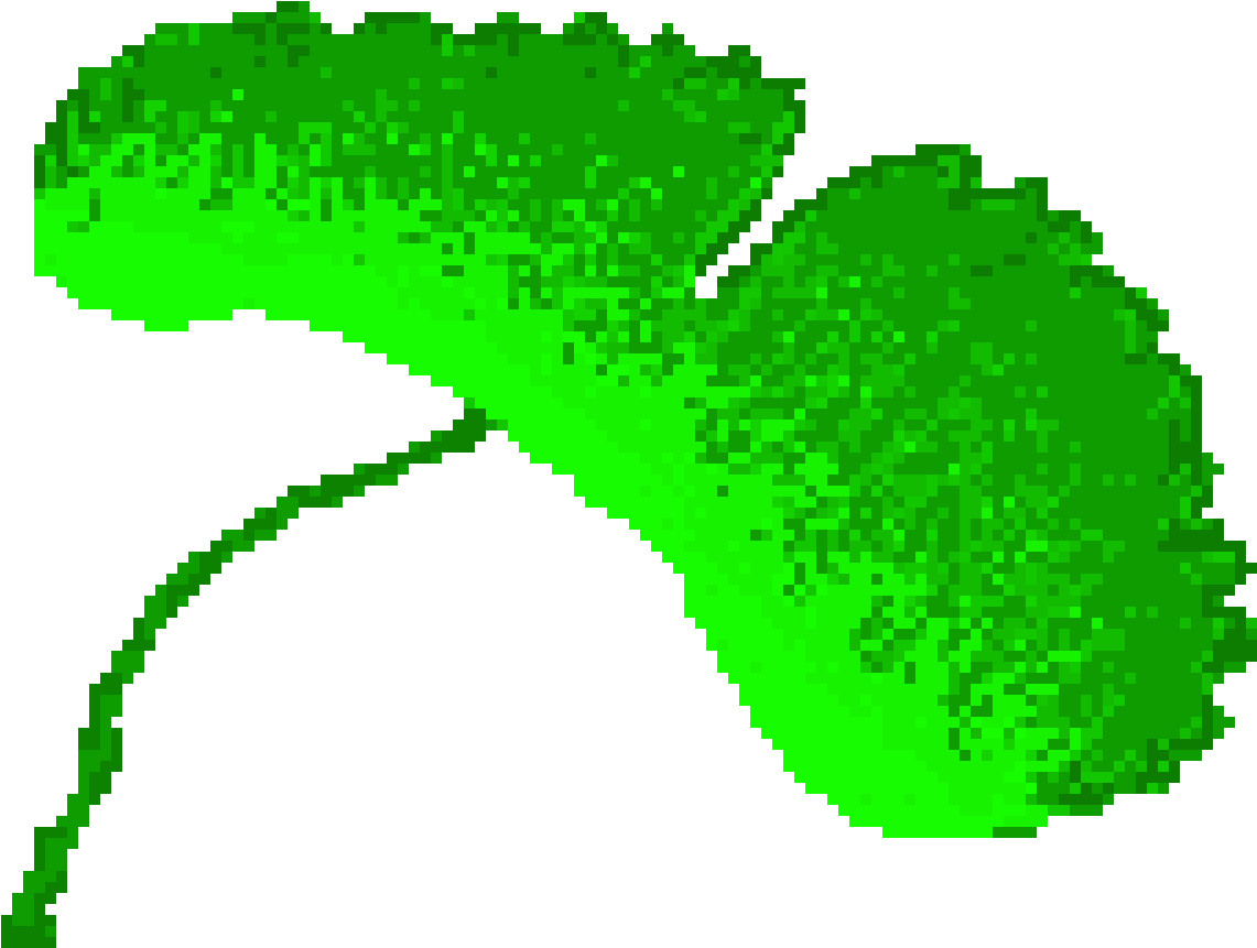 Gingko Leaf Clipart (1190x870), Png Download