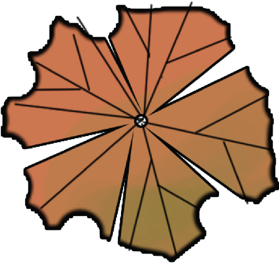 Discover Ideas About Trees Top View - Architecture Clipart (900x900), Png Download