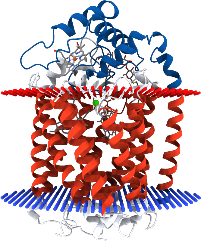 Transmembrane Regions Opm - Illustration Clipart (1000x1000), Png Download