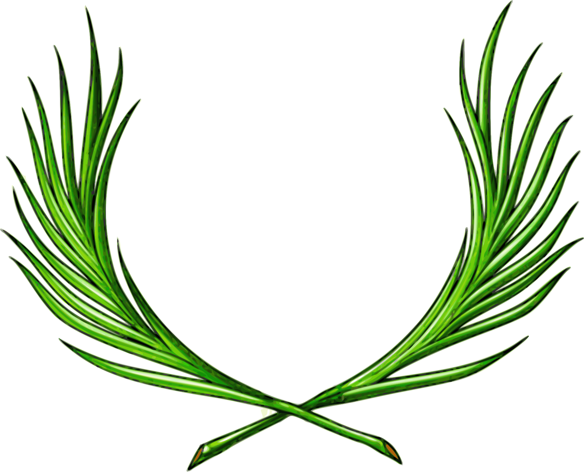 Веточка сирени в обломове. Ветвь финиковой пальмы. Символ пальмовой ветви. Оливковая ветвь символ чего. Шныр книга замороженный мир.