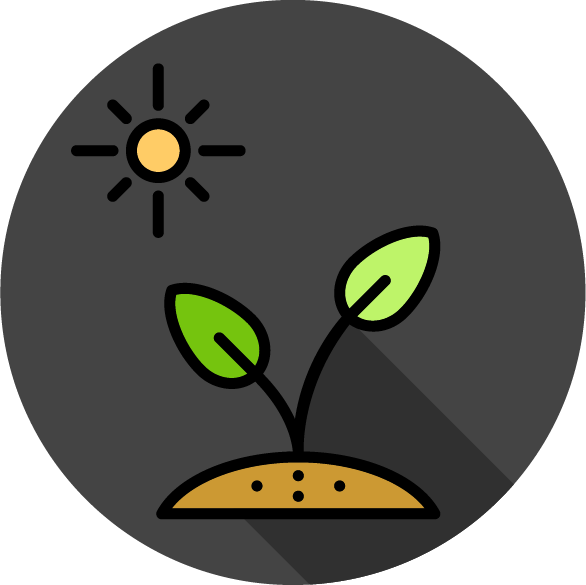 Arme Su Propio Huerto - Cartoon Clipart (586x585), Png Download