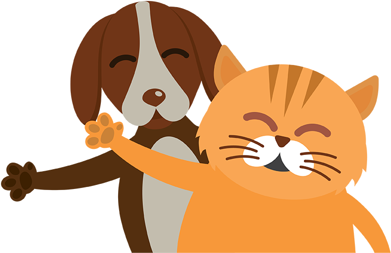 Servicios Veterinarios - Enquete Animal Clipart (800x720), Png Download