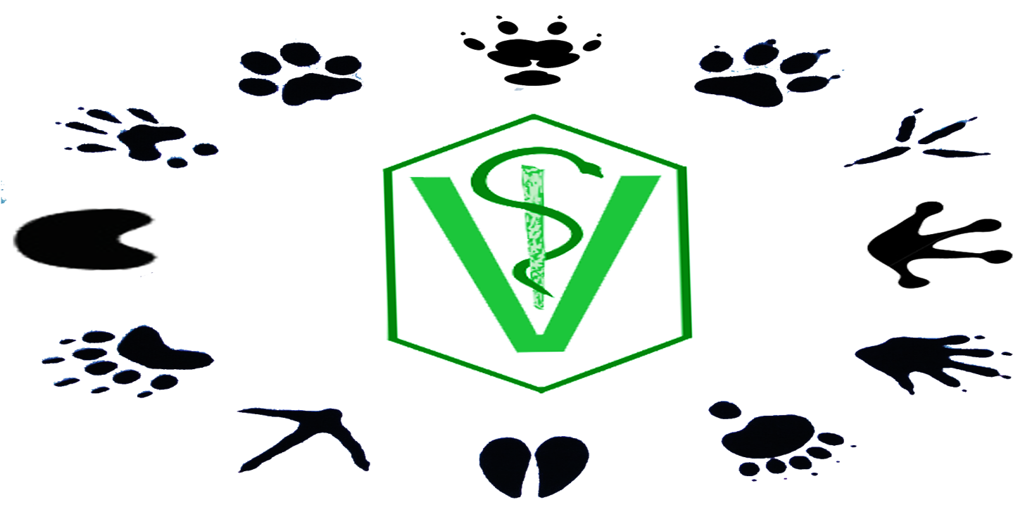 Venho Falar Sobre A Veterinária Clipart (1600x745), Png Download