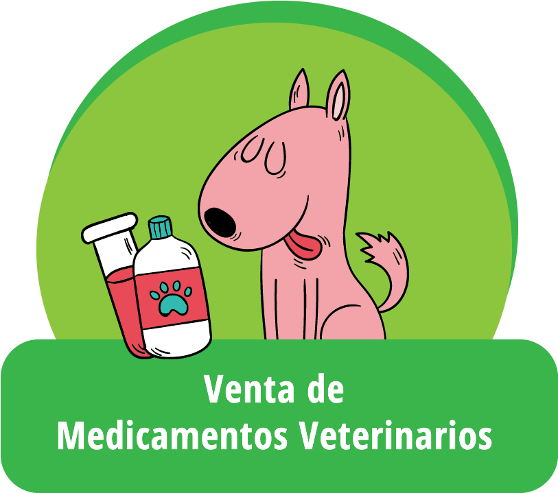 Productos De Mascotas Extravagantes Que Su Amigo Peludo Clipart (928x770), Png Download