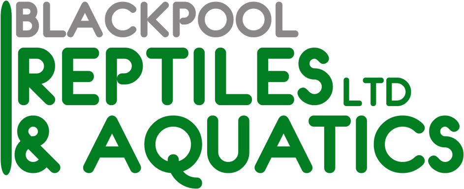 Blackpool Reptiles & Aquatics Blackpool Reptiles & - Graphic Design Clipart (1000x450), Png Download