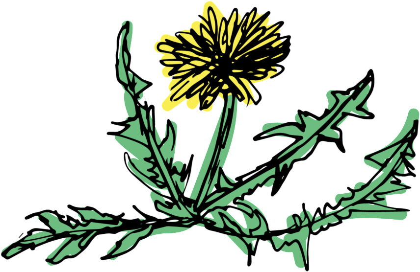 Vector Graphics Clipart (1024x1024), Png Download