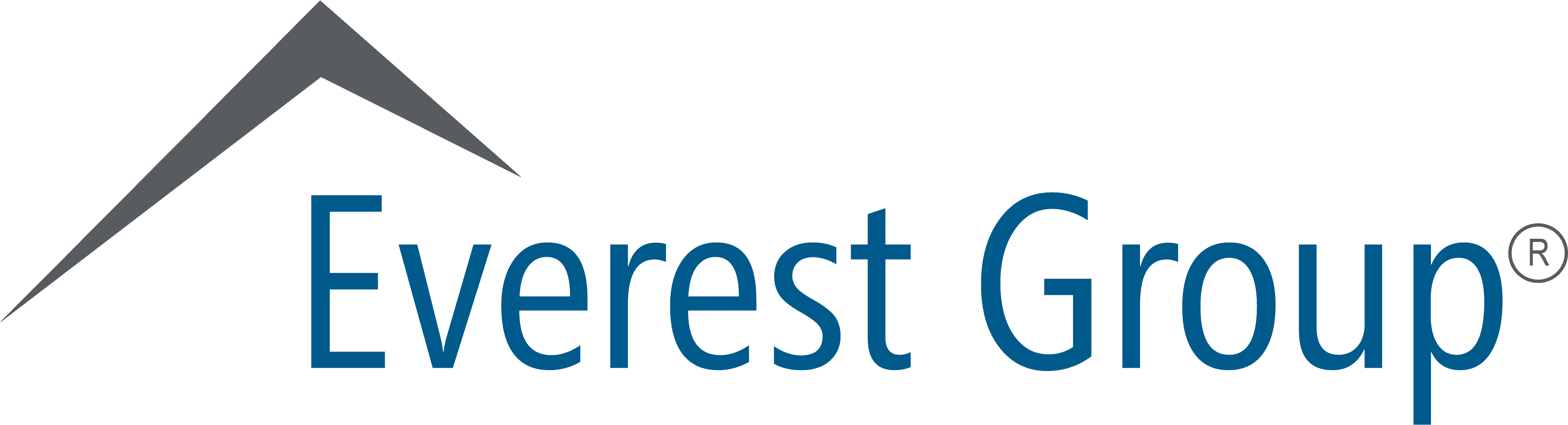 Who We Serve - Everest Group Clipart (4180x1830), Png Download