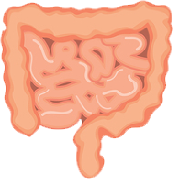 Click To Enlarge - Handbag Clipart (690x2319), Png Download