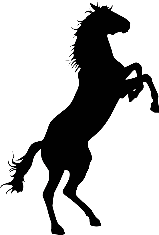 Hors4 - Horse Silhouette Png Clipart (563x844), Png Download