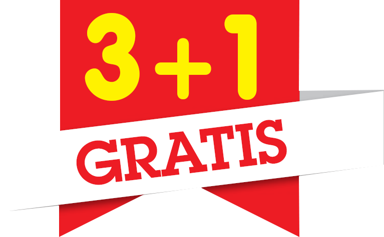 Evergreen - Orange Clipart (767x475), Png Download