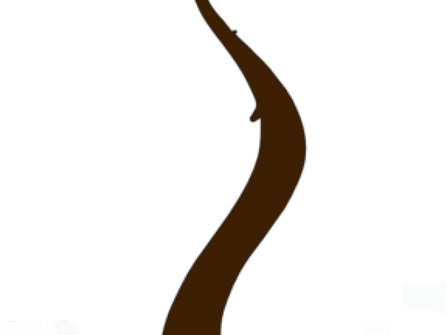 Trunk Clipart Leafless Tree - Png Download (640x480), Png Download