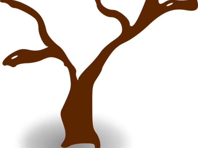 Dead Tree Clipart Desert Png - Tree Clip Art Transparent Png (640x480), Png Download