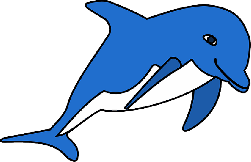 Clip Art Of Dolphin , Png Download - Dolphinclip Art Transparent Png (800x517), Png Download