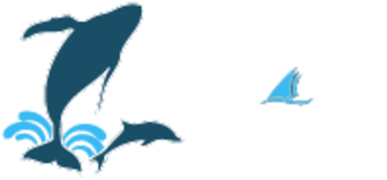 Captain Dave's Dolphin And Whale Safari Logo Clipart (800x400), Png Download