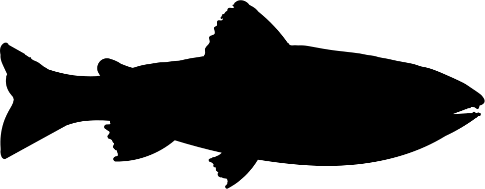 981 X 382 1 - Trout Clip Art - Png Download (981x382), Png Download