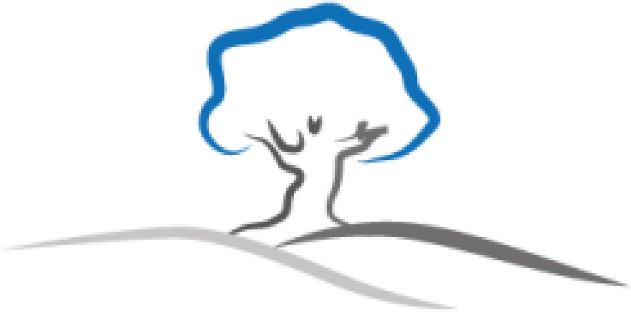 Cropped Baumlogo 2 E1431710434908 - Sketch Clipart (1340x726), Png Download