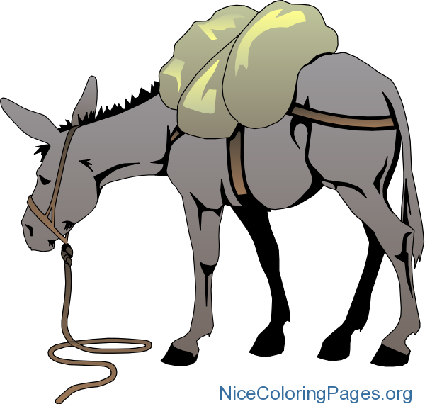 Download Free Printable "donkey Clipart Png" Template Transparent Png (600x570), Png Download