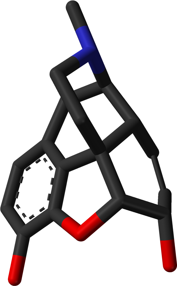 Morphine From Xtal 3d Sticks Skeletal - Chlorpromazine Clipart (717x1100), Png Download