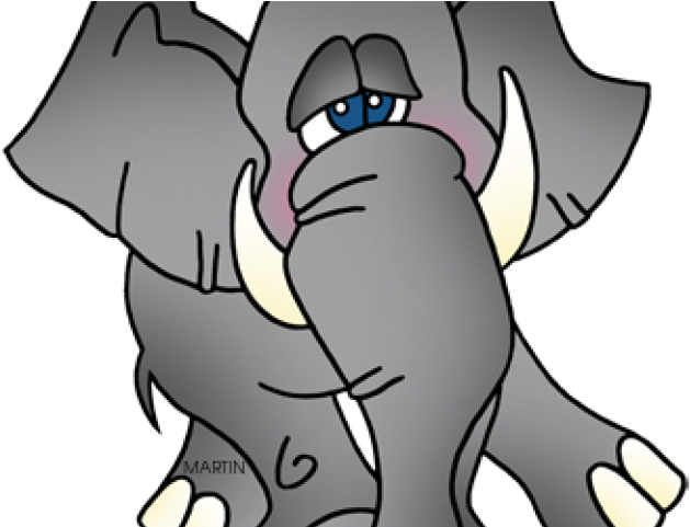 Zebra Clipart Phillip Martin - Cartoon - Png Download (640x480), Png Download