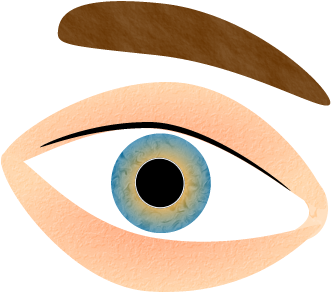 Human Eye Clipart (1000x1000), Png Download