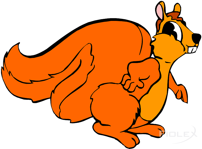 Squirrel - Gold Fish Clip Art - Png Download (800x590), Png Download