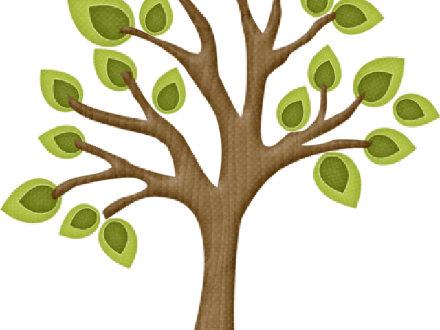 Picnic Clipart Tree - Árvore Picnic Png Transparent Png (640x480), Png Download