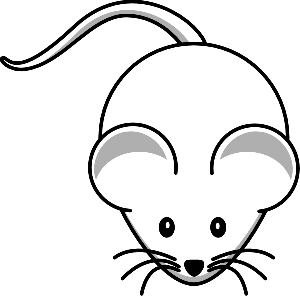 Cartoon Mouse Clipart (600x592), Png Download