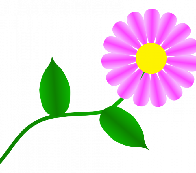 Daisy Images Free Free Free Daisy Images Download Free - Gerber Daisy Clip Art - Png Download (678x600), Png Download