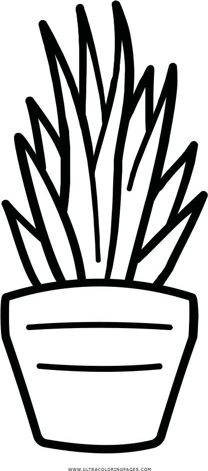 Pflanze Ausmalbilder - Line Art Clipart (1000x1000), Png Download