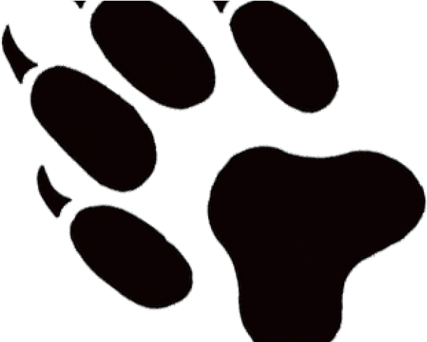 Bobcat Clipart Pawprint - Illustration - Png Download (640x480), Png Download