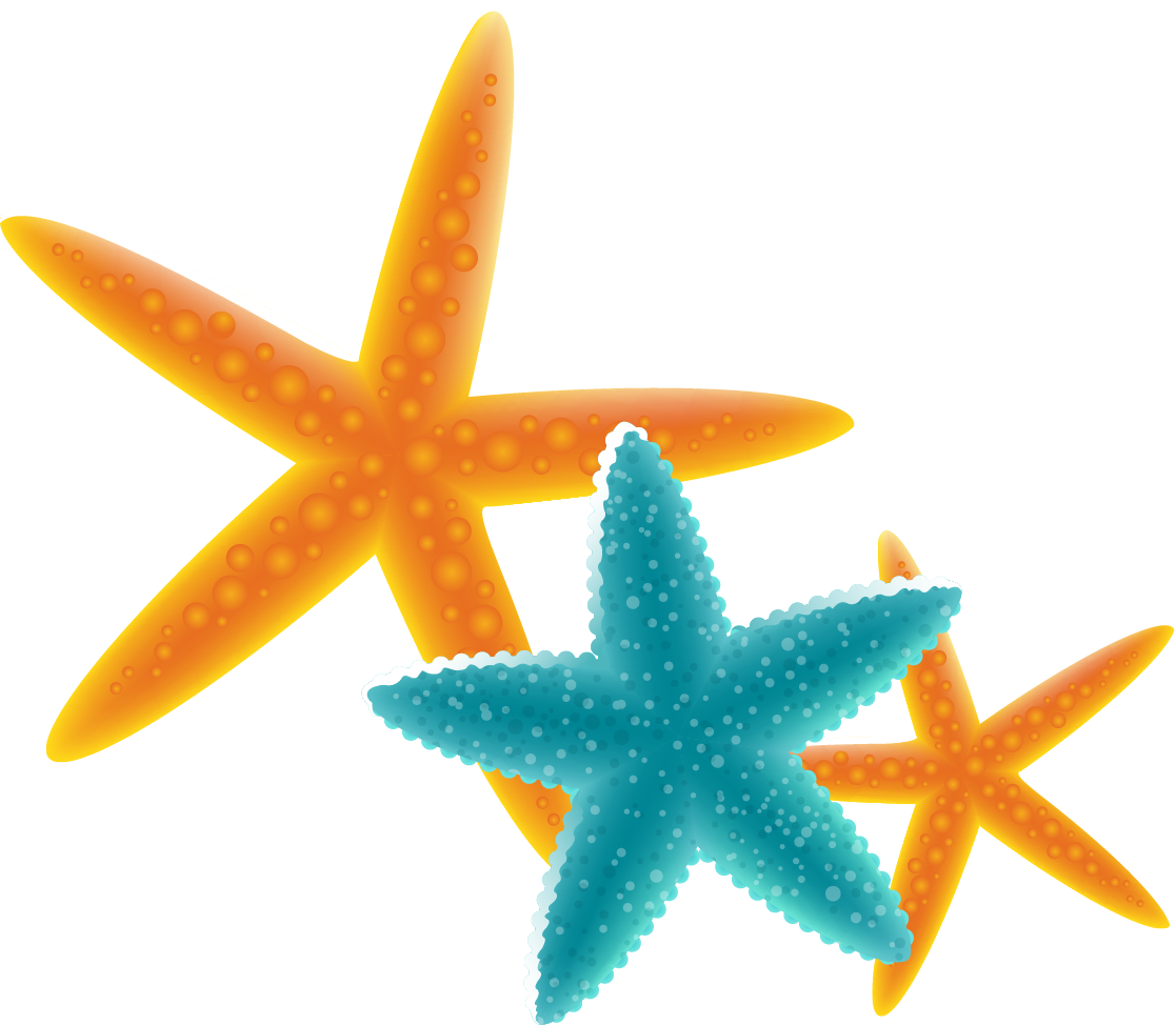 Starfish Free Content Clip Art - Starfish - Png Download (1117x974), Png Download
