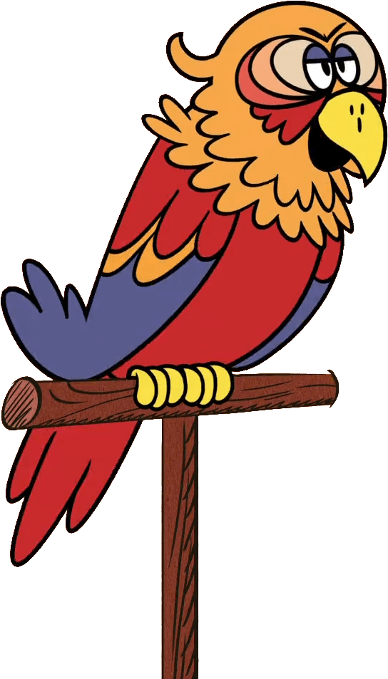 Download - Macaw Clipart (960x960), Png Download