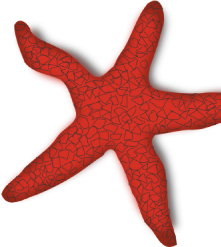 Starfish Clipart Craft - Starfish Clip Art - Png Download (640x480), Png Download