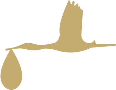 Preparing For Labour - Illustration Clipart (952x408), Png Download