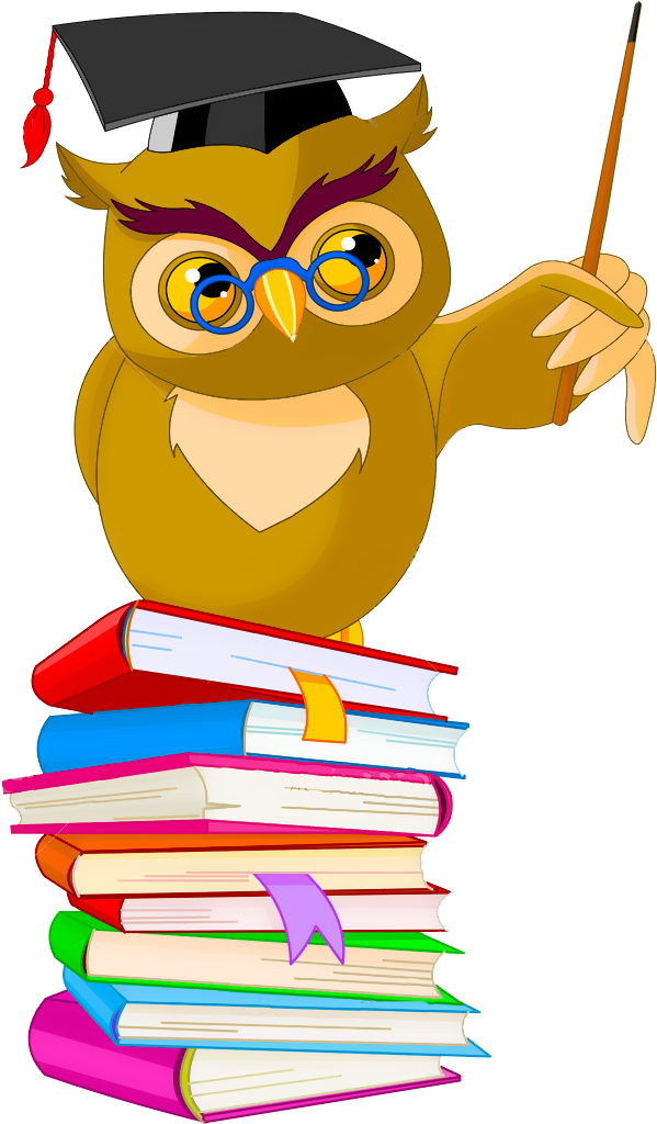 Buy Clipart Wise - Owl Cartoon - Png Download (622x1023), Png Download