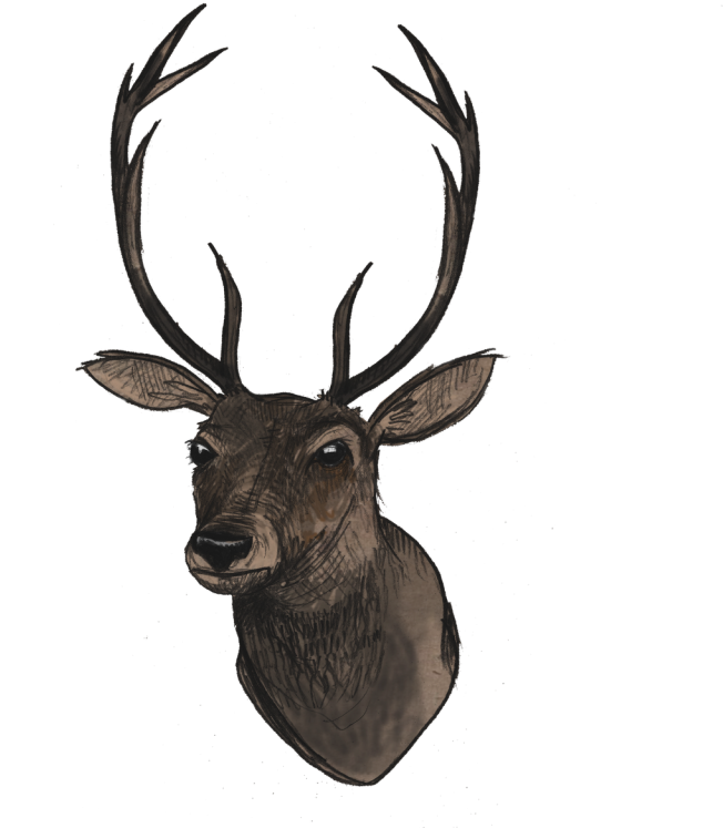 51 Deer Png Images With Transparent Background Free - Deer Head Transparent Clipart (1024x819), Png Download